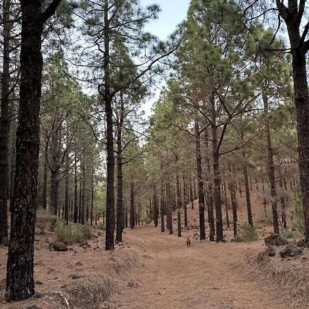 Zulia Suites, Masca, Teide Gigantes, Excursions, Ac, Wifi7 Apartmán *