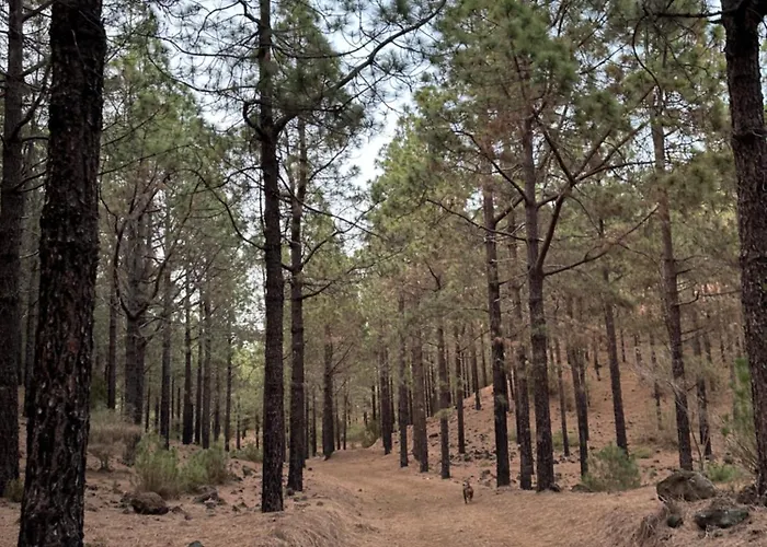 Zulia Suites, Masca, Teide Gigantes, Excursions, Ac, Wifi7 Apartmán *