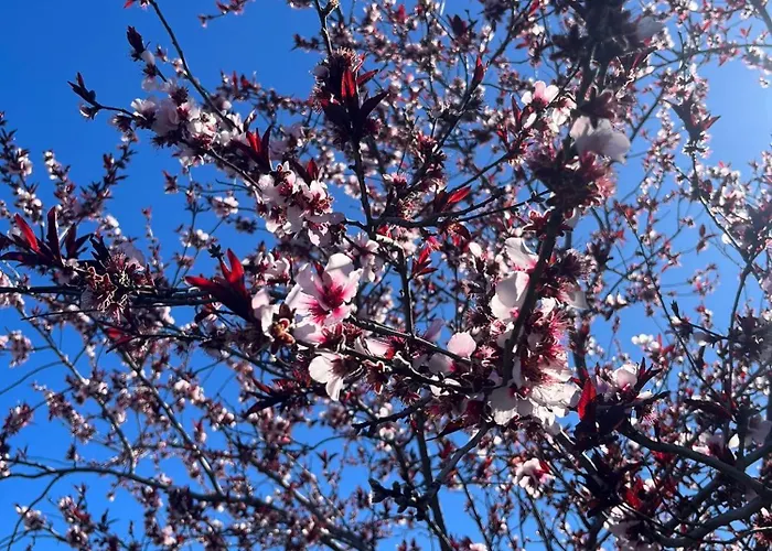 Zulia Suites, Masca, Teide Gigantes, Excursions, Ac, Wifi7 Apartmán Santiago del Teide